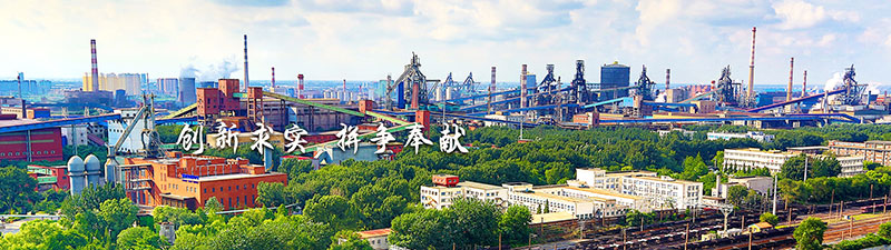 鞍山鋼鐵集團有限公司