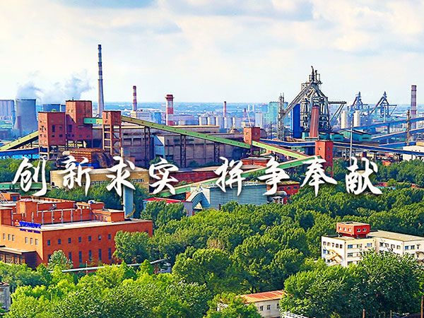 鞍山鋼鐵集團有限公司