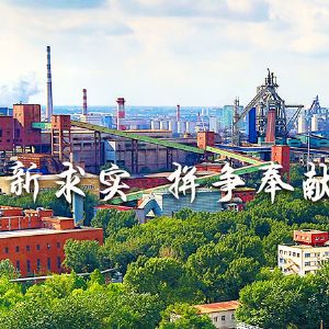 鞍山鋼鐵集團有限公司